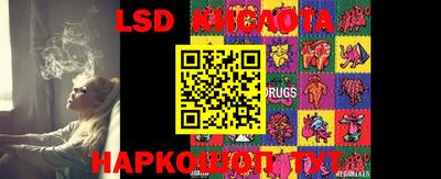 PSILOCYBIN Будённовск