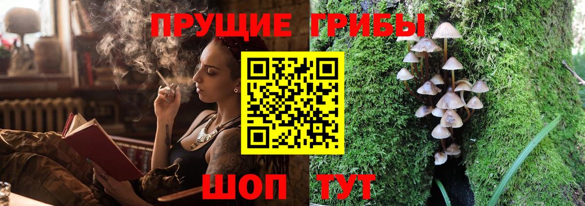 Псилоцибиновые грибы Psilocybe  Галлюциногенные грибы мухоморы  купить  цена  Можайск  Вход с VPN 